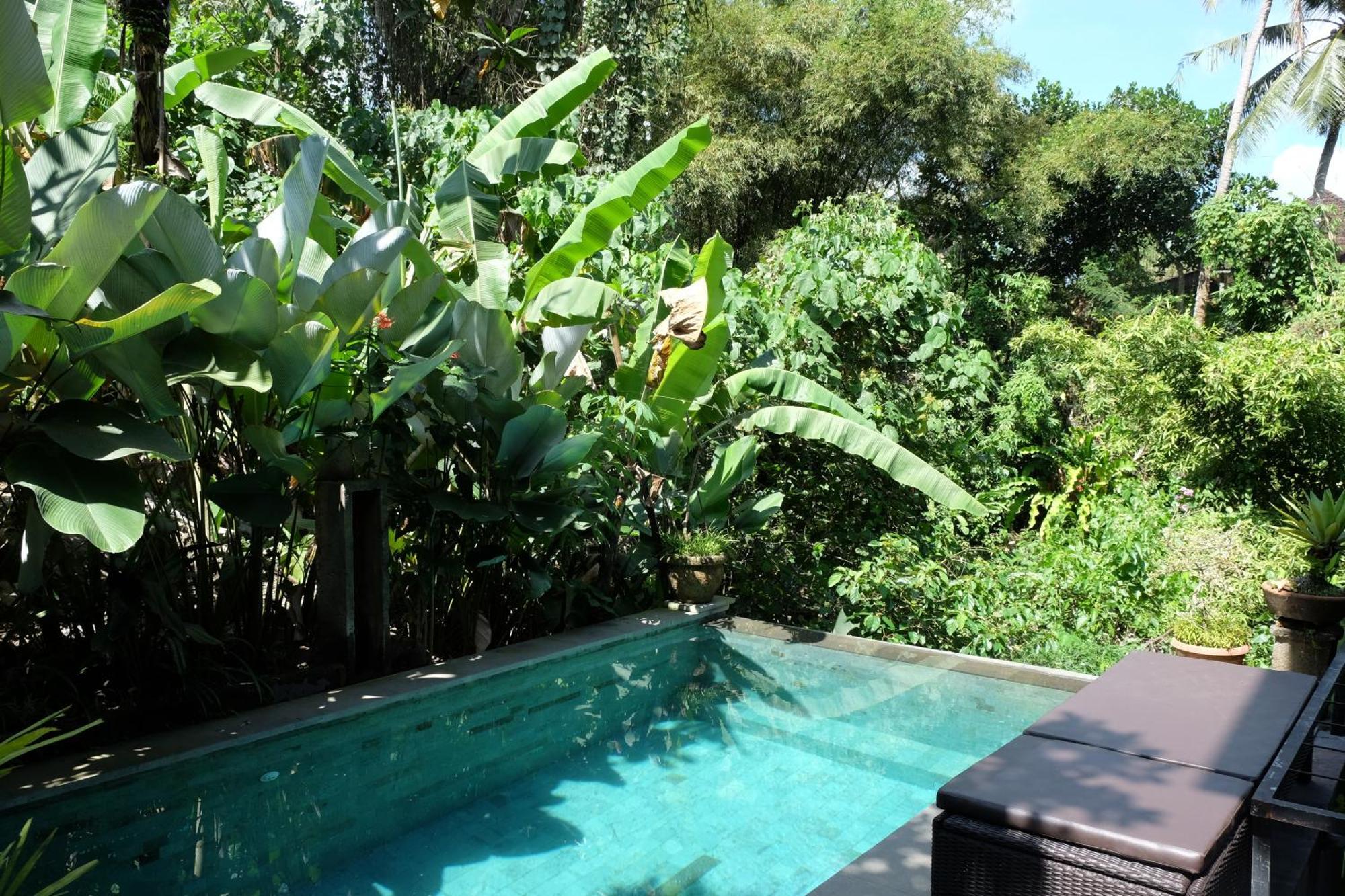 Suastika Guest House Ubud Exteriör bild