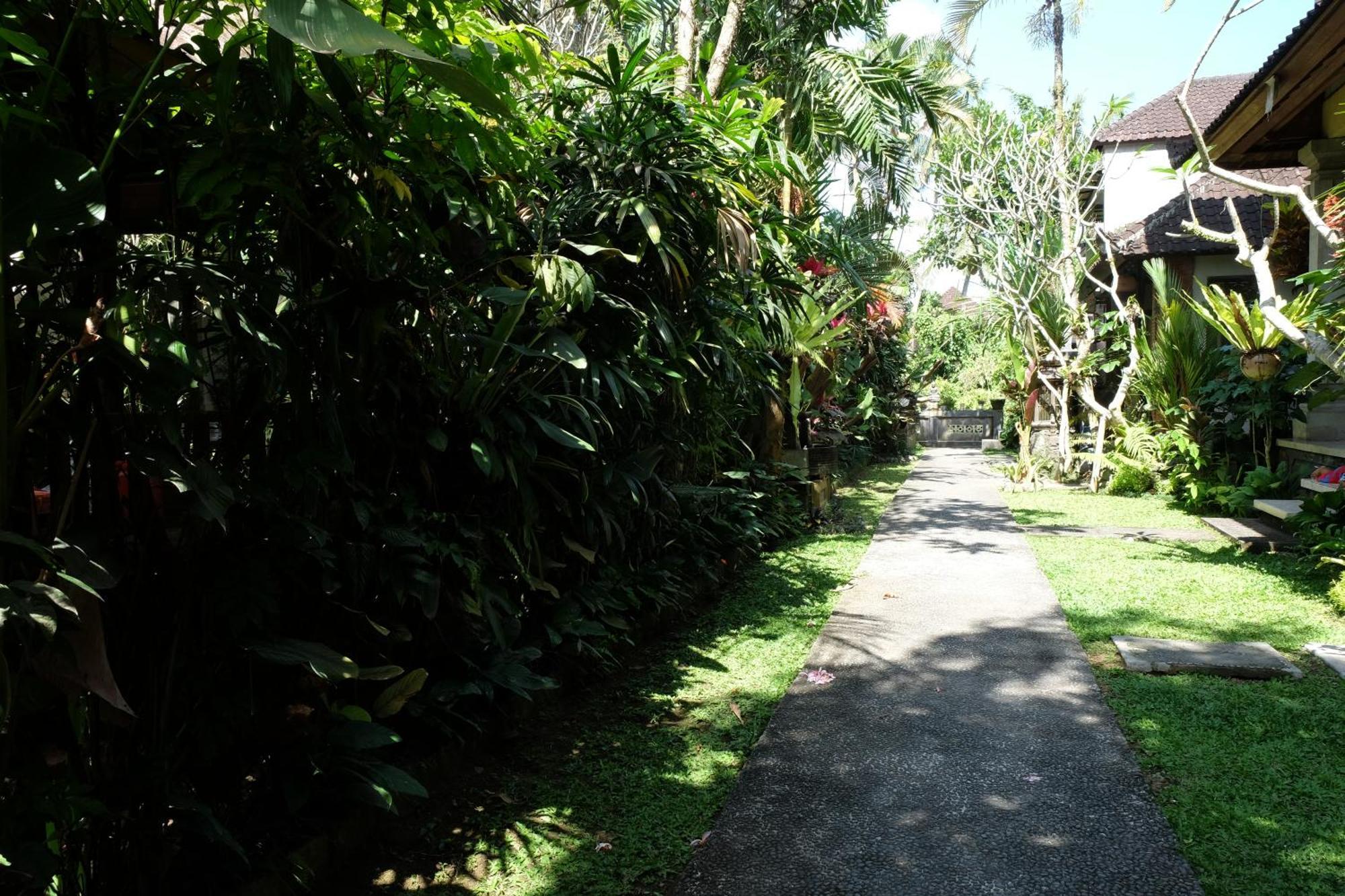 Suastika Guest House Ubud Exteriör bild